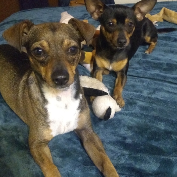 Jimbo & G - Posh' Mentor - Picture 6 of 8